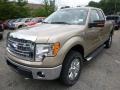 2014 Pale Adobe Ford F150 XLT SuperCab 4x4  photo #5