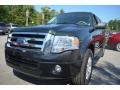 2014 Green Gem Ford Expedition XLT  photo #6