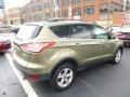 Ginger Ale Metallic - Escape SE 2.0L EcoBoost 4WD Photo No. 8