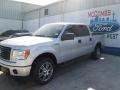 2014 Ingot Silver Ford F150 STX SuperCrew 4x4  photo #3