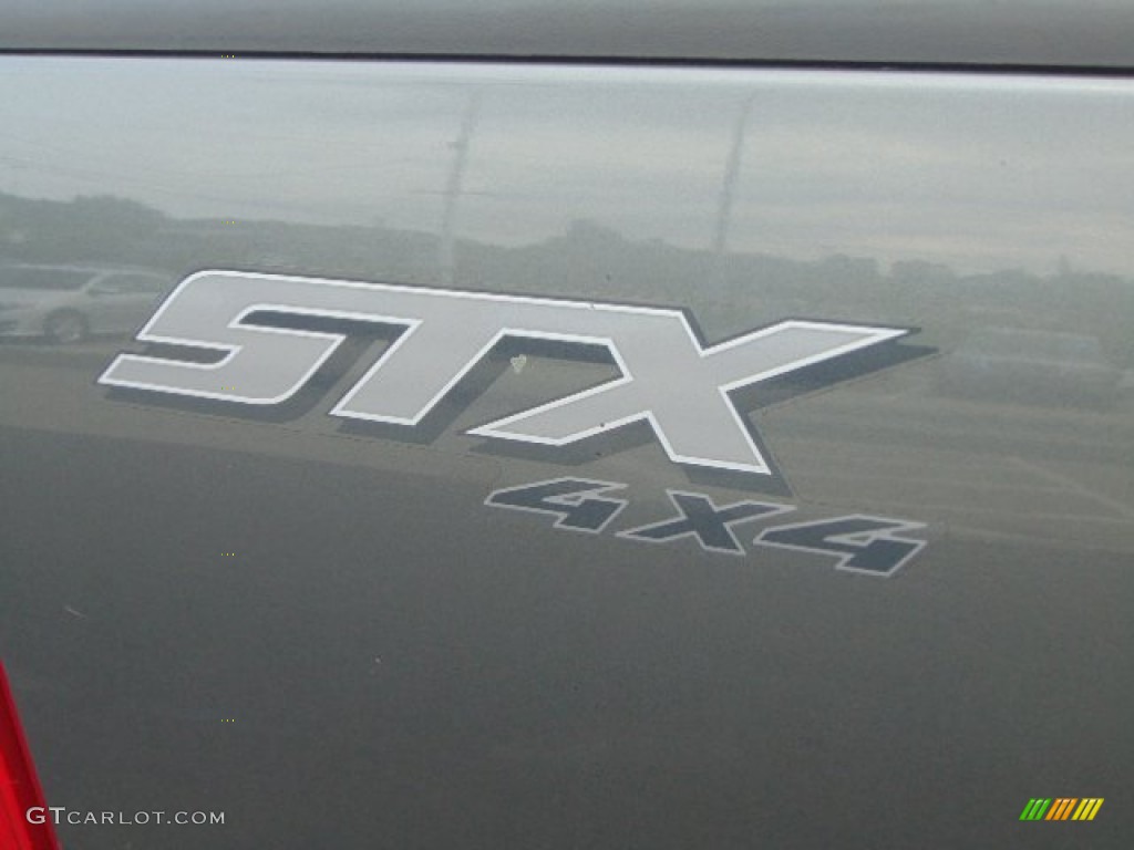 2005 F150 STX Regular Cab 4x4 - Dark Shadow Grey Metallic / Medium Flint Grey photo #3