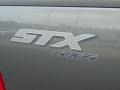 2005 Dark Shadow Grey Metallic Ford F150 STX Regular Cab 4x4  photo #3