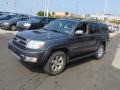 2004 Galactic Gray Mica Toyota 4Runner SR5  photo #6