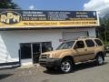 Khaki Beige 2001 Nissan Xterra SE V6 4x4
