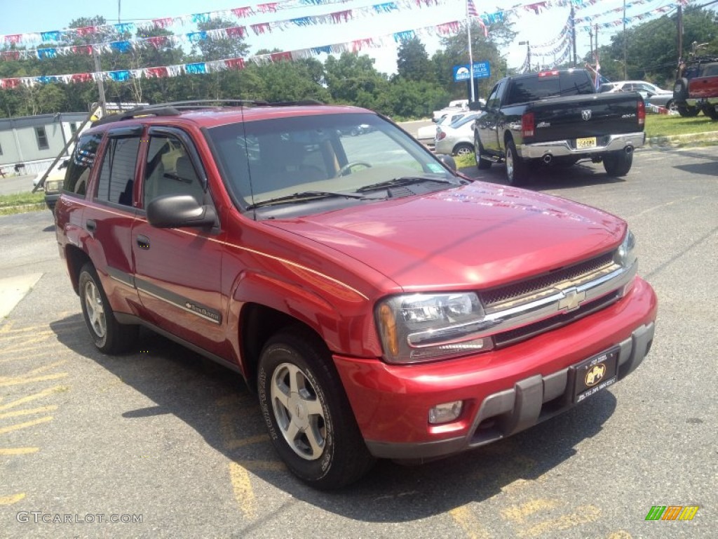 2002 TrailBlazer LS 4x4 - Majestic Red Metallic / Medium Oak photo #5