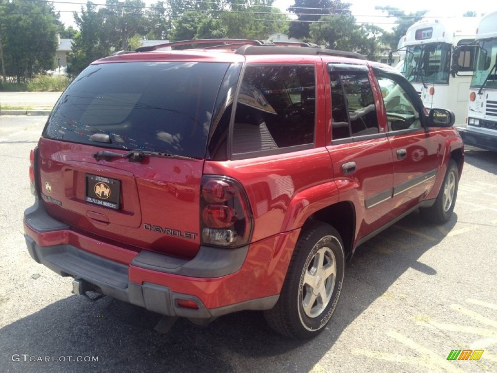 2002 TrailBlazer LS 4x4 - Majestic Red Metallic / Medium Oak photo #14