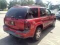 2002 Majestic Red Metallic Chevrolet TrailBlazer LS 4x4  photo #14