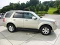 Gold Leaf Metallic - Escape Limited 4WD Photo No. 6
