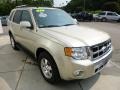 Gold Leaf Metallic - Escape Limited 4WD Photo No. 7