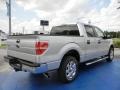 2014 Ingot Silver Ford F150 XLT SuperCrew  photo #3