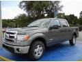 Sterling Grey 2014 Ford F150 XLT SuperCrew Exterior