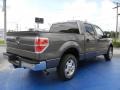 2014 Sterling Grey Ford F150 XLT SuperCrew  photo #3