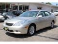 Millennium Silver Metallic - ES 300 Photo No. 6
