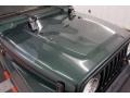 Forest Green Pearlcoat - Wrangler Sahara 4x4 Photo No. 40