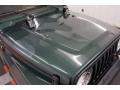 1999 Forest Green Pearlcoat Jeep Wrangler Sahara 4x4  photo #40