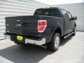 2014 Blue Jeans Ford F150 XLT SuperCrew  photo #4