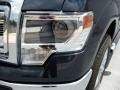 2014 Blue Jeans Ford F150 XLT SuperCrew  photo #10