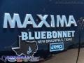 2005 Majestic Blue Metallic Nissan Maxima 3.5 SE  photo #18