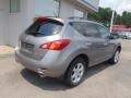 2010 Tinted Bronze Metallic Nissan Murano SL AWD  photo #8