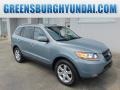 Platinum Sage 2008 Hyundai Santa Fe SE 4WD