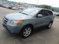 2008 Platinum Sage Hyundai Santa Fe SE 4WD  photo #5