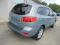 2008 Platinum Sage Hyundai Santa Fe SE 4WD  photo #8