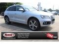 Florett Silver Metallic - Q5 3.0 TDI Premium Plus quattro Photo No. 1