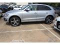 Florett Silver Metallic - Q5 3.0 TDI Premium Plus quattro Photo No. 3
