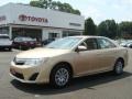 Sandy Beach Metallic - Camry LE Photo No. 1