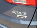 2014 Marlin Blue Hyundai Santa Fe Sport AWD  photo #5