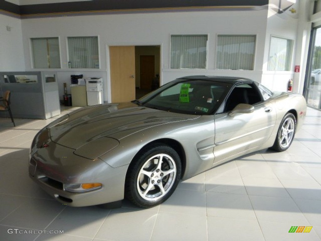 2001 Corvette Coupe - Light Pewter Metallic / Black photo #1