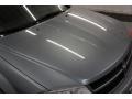 Silver Steel Metallic - Avenger SXT Photo No. 45