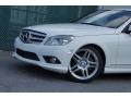 Arctic White - C 300 Luxury Photo No. 39