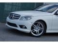 2009 Arctic White Mercedes-Benz C 300 Luxury  photo #39