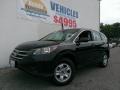 Crystal Black Pearl - CR-V LX Photo No. 1