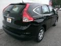 Crystal Black Pearl - CR-V LX Photo No. 20