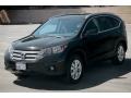Crystal Black Pearl - CR-V EX-L Photo No. 25