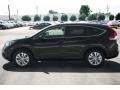 Crystal Black Pearl - CR-V EX-L Photo No. 26