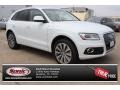 Glacier White Metallic - Q5 2.0 TFSI quattro Hybrid Photo No. 1