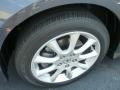 Carbon Gray Pearl - TSX Sedan Photo No. 8