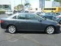 Carbon Gray Pearl - TSX Sedan Photo No. 13