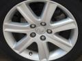 Tungsten Metallic - ES 350 Photo No. 14