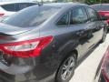 Sterling Gray - Focus SE Sedan Photo No. 5