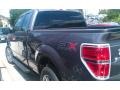 Sterling Grey - F150 STX SuperCab Photo No. 1