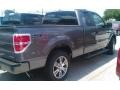 Sterling Grey - F150 STX SuperCab Photo No. 4