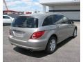 2006 Pewter Metallic Mercedes-Benz R 350 4Matic  photo #4