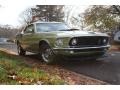 Lime Gold - Mustang Mach 1 Photo No. 10
