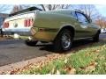Lime Gold - Mustang Mach 1 Photo No. 11