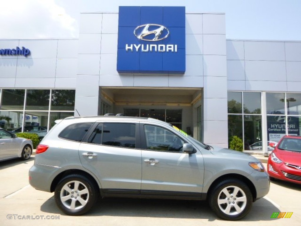 Platinum Sage Hyundai Santa Fe
