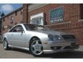 Brilliant Silver Metallic - CL 500 Photo No. 2